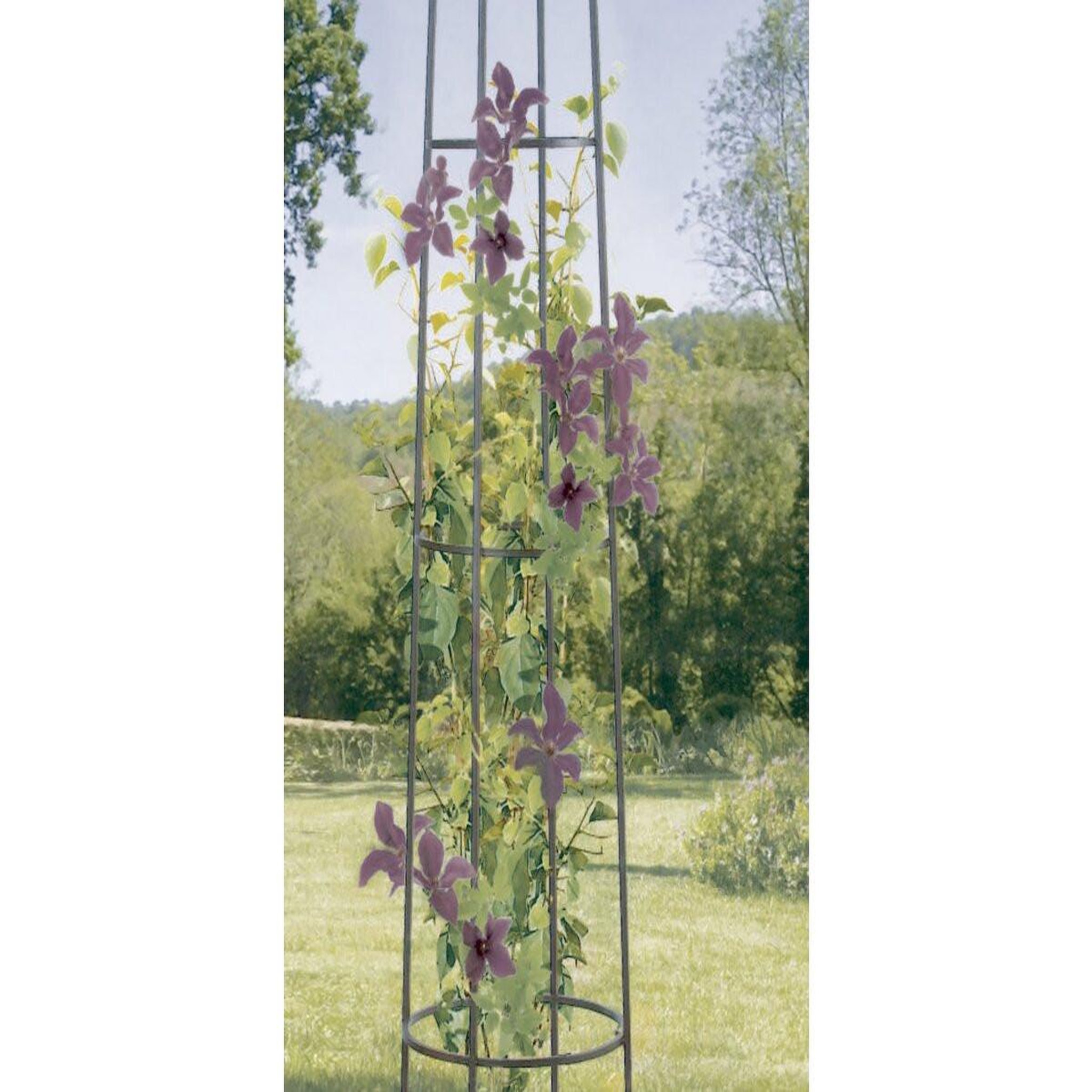 Voir la diapositive 2 : Habitat et Jardin Support  décoratif -   Obelisk   - Ø 0.41 x 2.00 m - Rouille antique