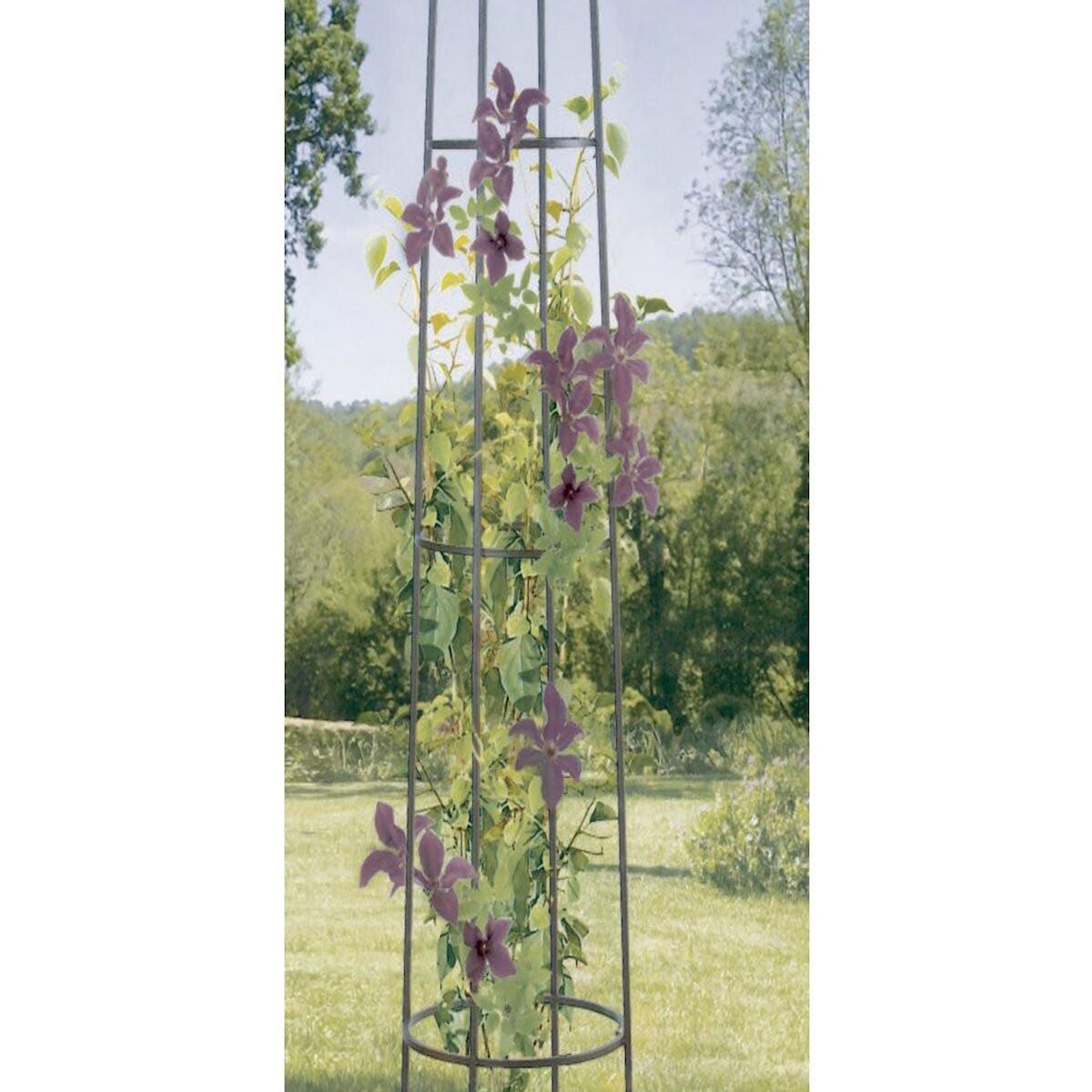 Nortene Support  décoratif -   Obelisk   - Ø 0.41 x 2.00 m - Rouille antique