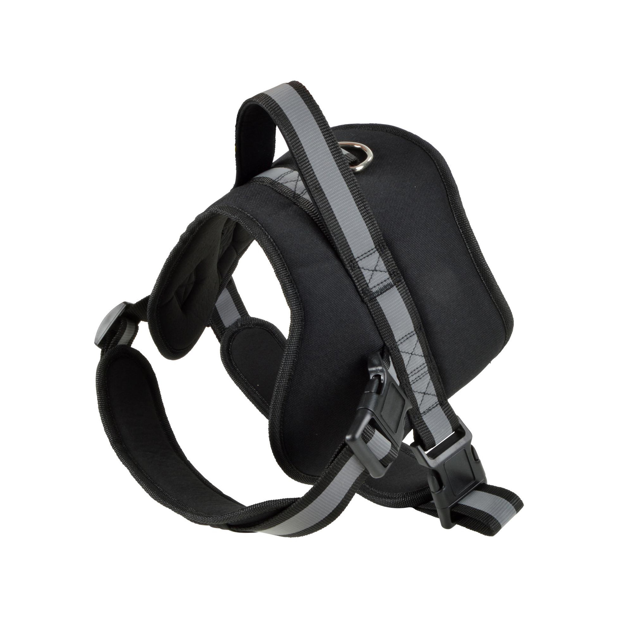Eden Harnais pour chien design et moderne. Coloris disponibles : Noir