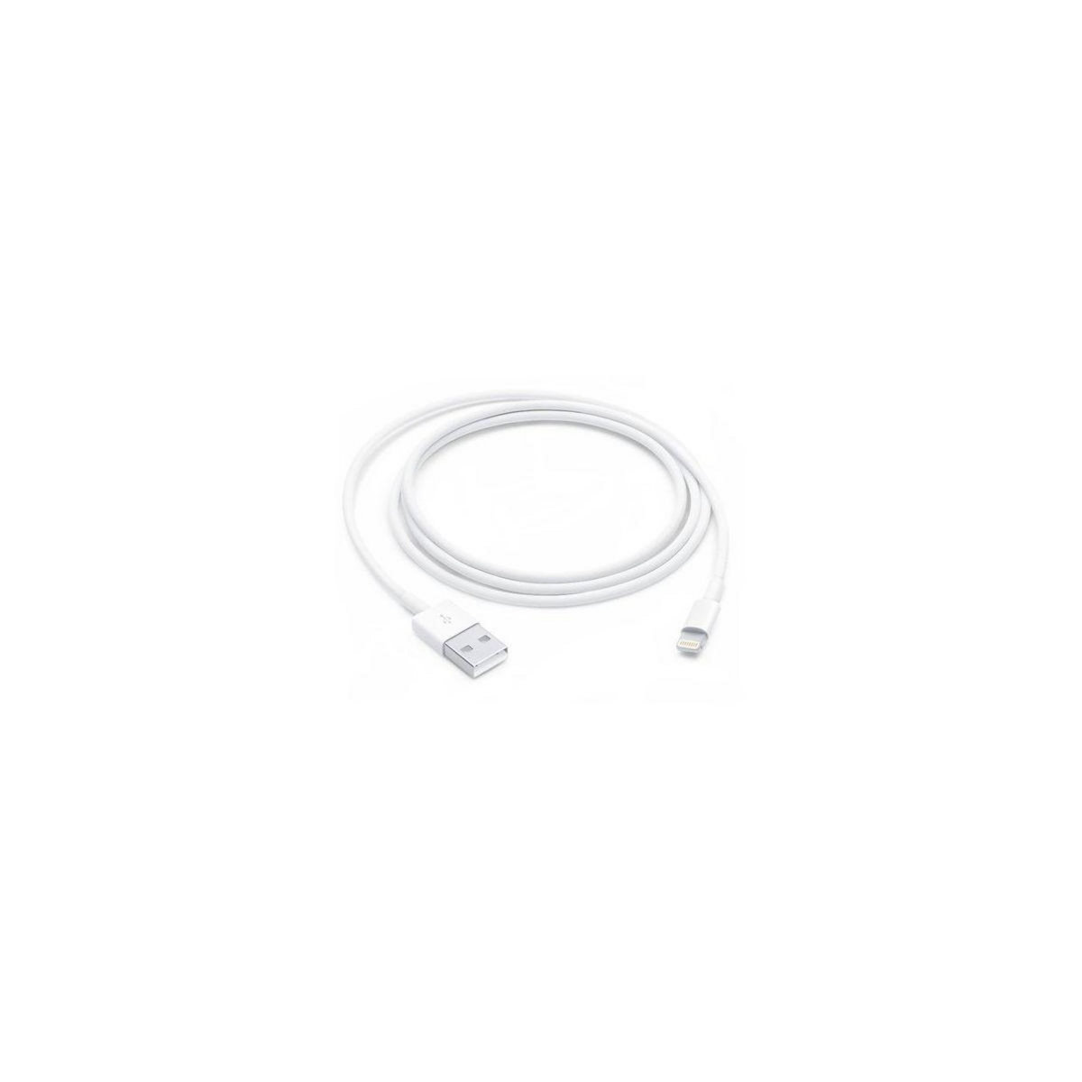 APPLE Câble Lightning Lightning vers USB 1m