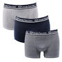 Voir la diapositive 2 : SERGIO TACCHINI Boxer SERGIO TACCHINI X3
