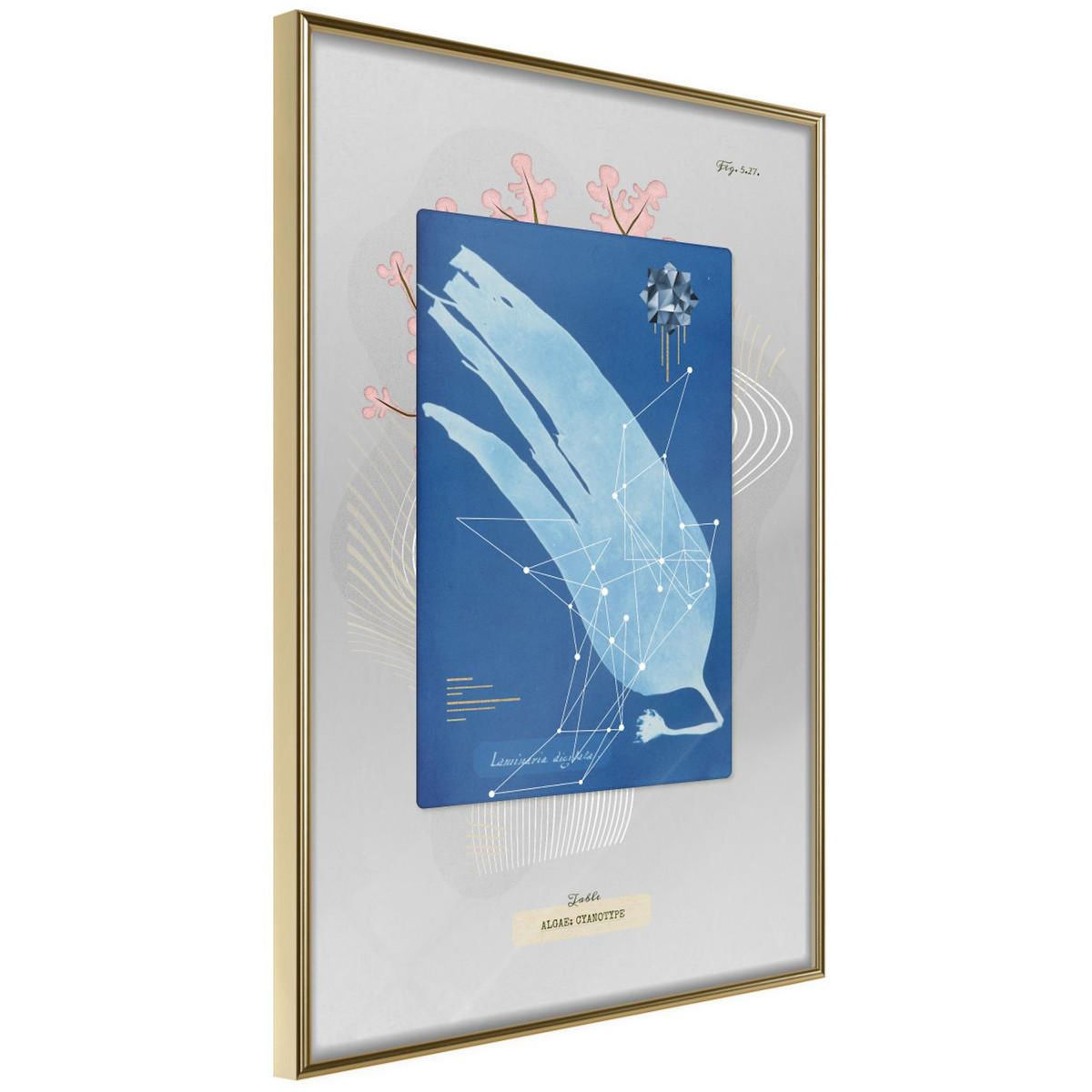 Paris Prix Affiche Murale Encadrée  Alga Cyanotype