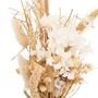 Voir la diapositive 2 : ATMOSPHERA Composition de Fleurs Séchées  Vase  25cm Blanc