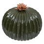 Voir la diapositive 1 : ATMOSPHERA Cactus Déco Boule  Exotic Panama  17cm Vert
