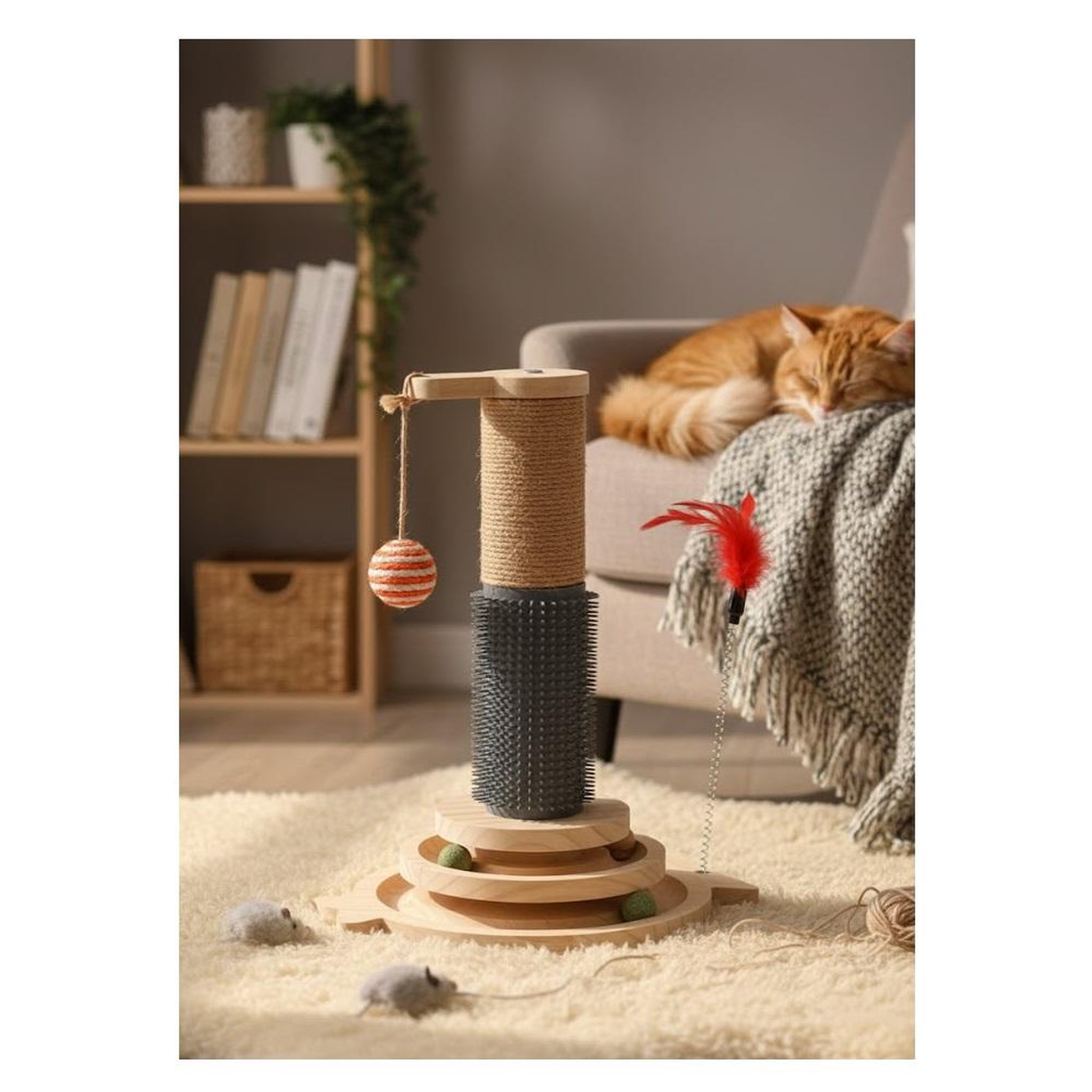 Voir la diapositive 4 : Eden Jouet a griffer pour chat lex plumes, circuit a balle et brosse massage