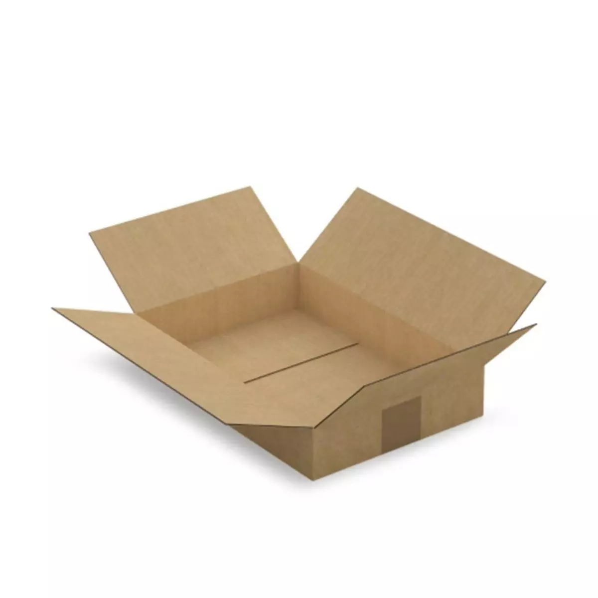 RAJA 5 cartons d'emballage 31 x 21.5 x 5.5 cm - Simple cannelure