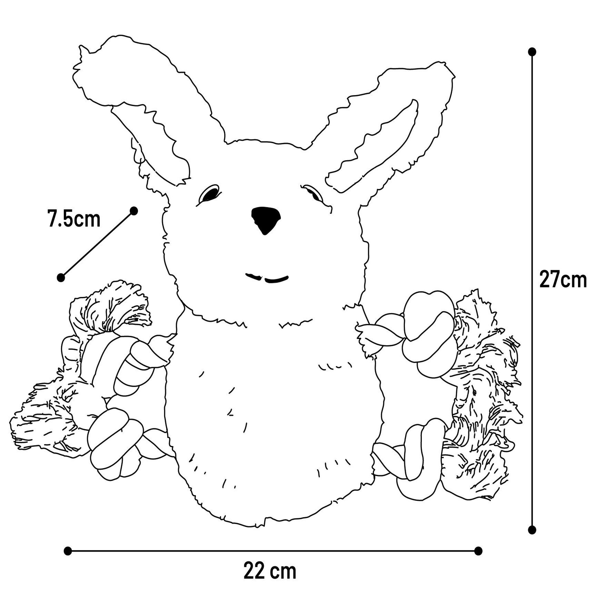 Voir la diapositive 3 : Eden Lapin en peluche pour chien avec cordes et couineur