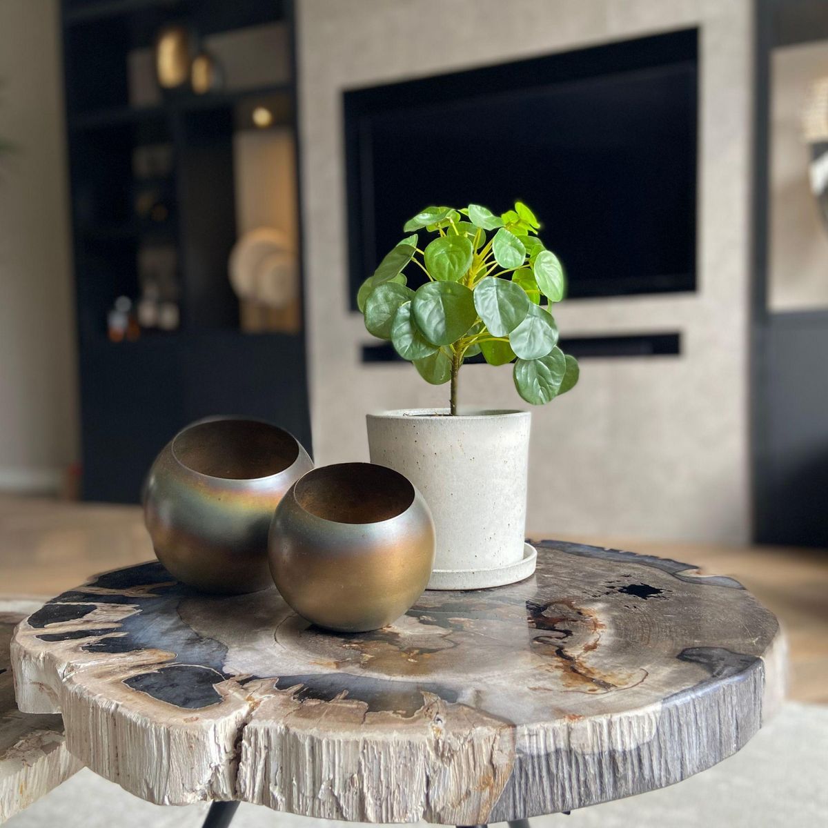 PLANT IN A BOX Pilea Peperomioides artificiel - Hauteur 30cm