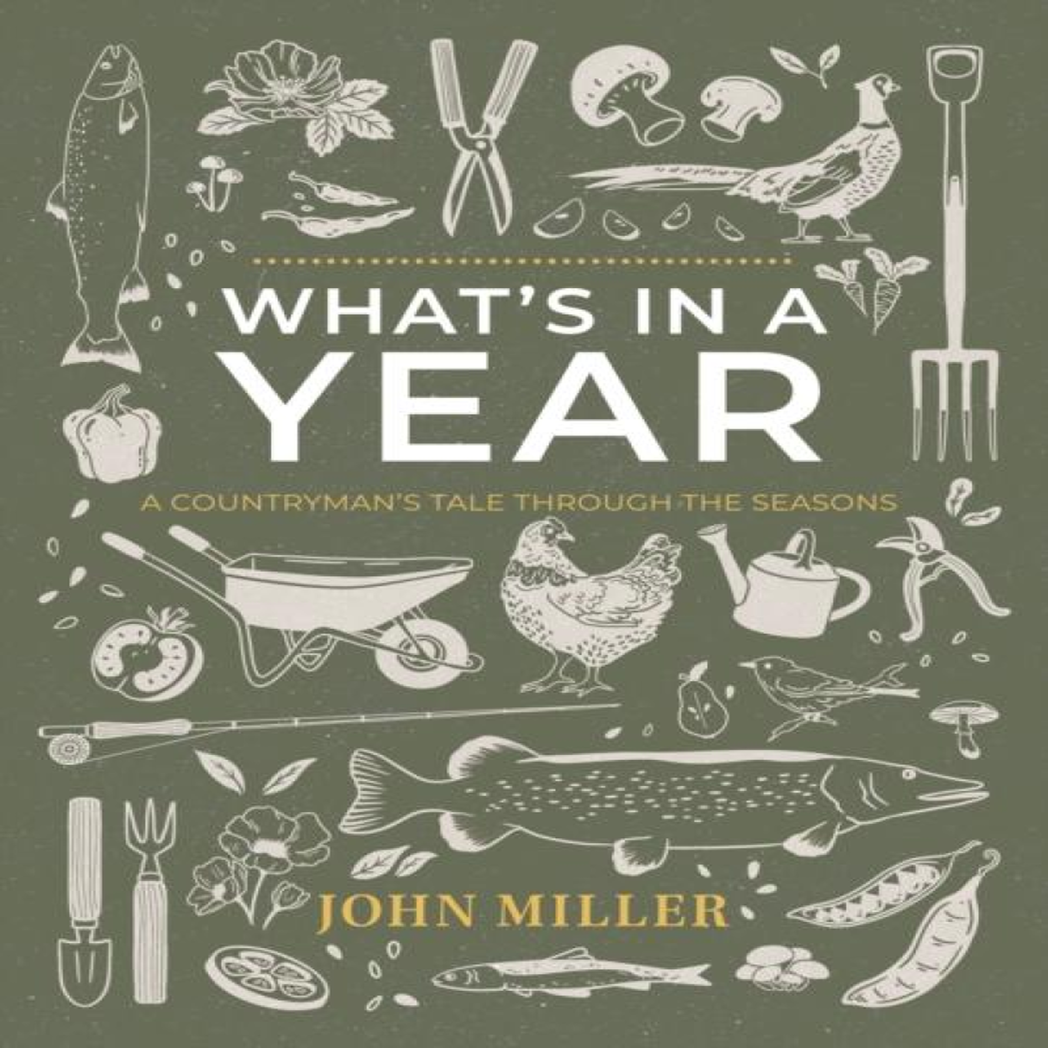 LIVRES What's in a Year - John Miller
