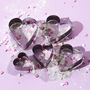 Voir la diapositive 3 : Paris Prix Lot de 5 Emporte-Pièces en Inox  Cœur  9cm Argent