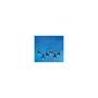 Voir la diapositive 2 : Flensted Penguin Talk