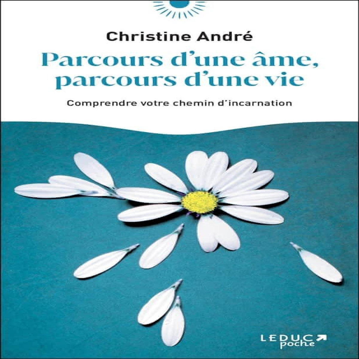 PARCOURS D'UNE AME, PARCOURS D'UNE VIE. COMPRENDRE VOTRE CHEMIN D'INCARNATION, André Christine