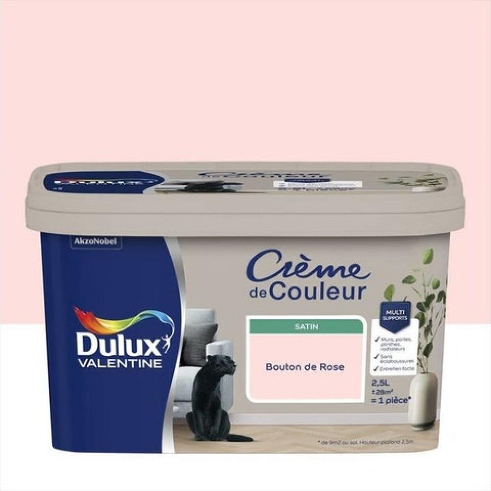 CENTRALE BRICO Peinture pour mur, Crème de couleur bouton de rose satin 2.5 l