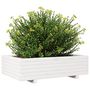 Voir la diapositive 4 : VIDAXL Jardiniere blanc 90x60x26,5 cm bois de pin massif