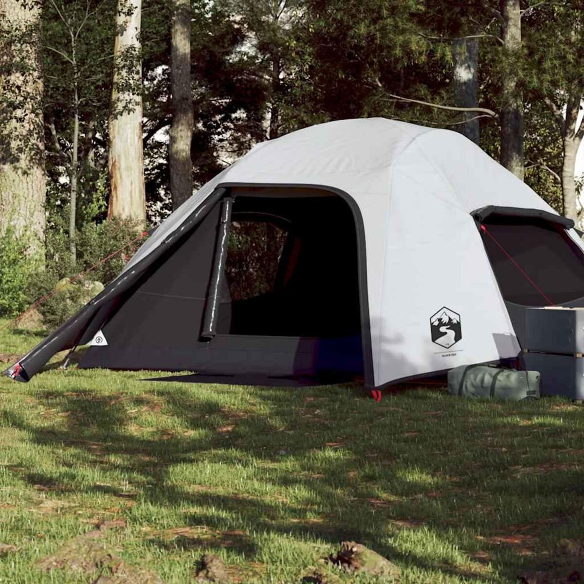 VIDAXL Tente de camping a dome 4 personnes tissu occultant impermeable