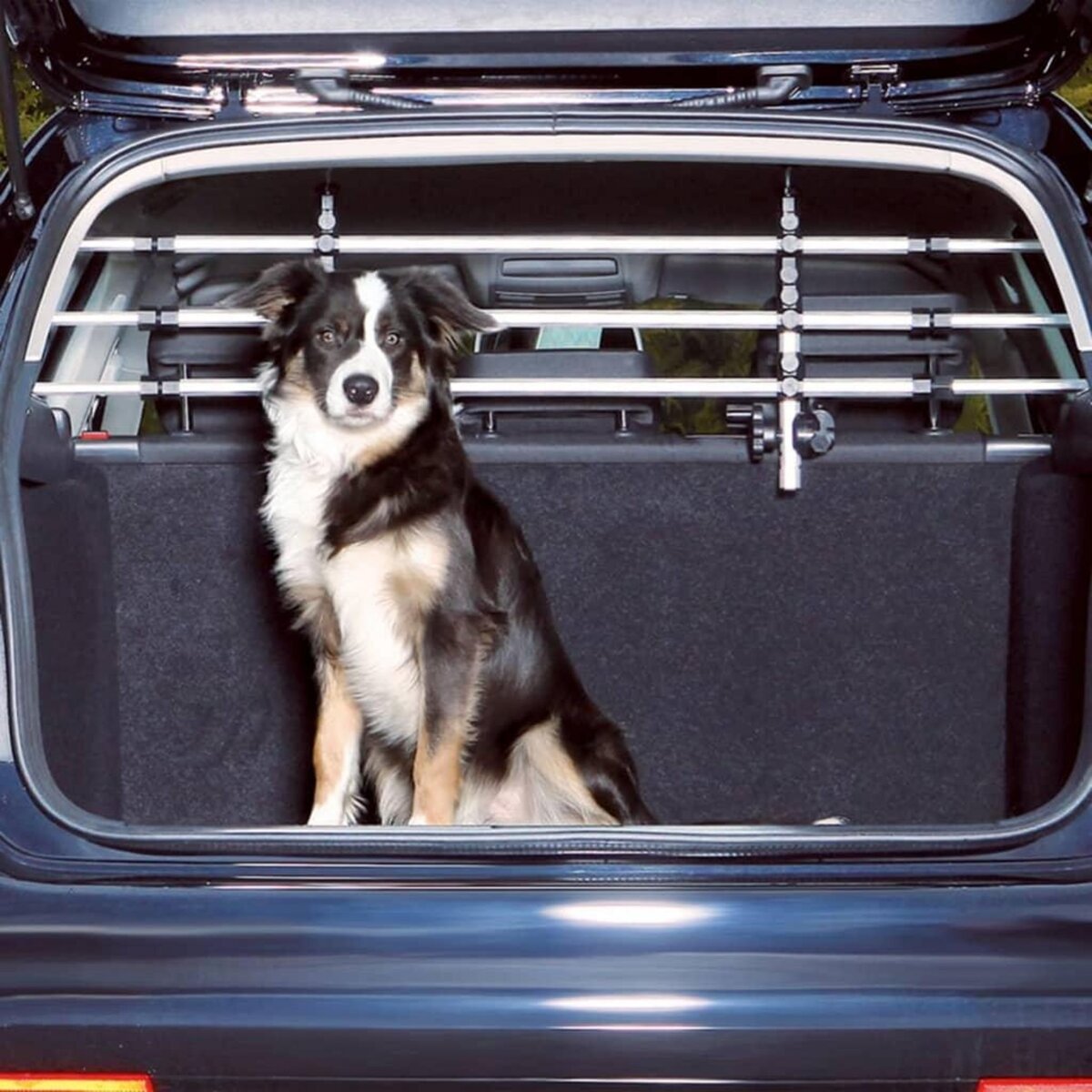 Trixie TRIXIE Grille pare-chien pour voiture Argente et noir