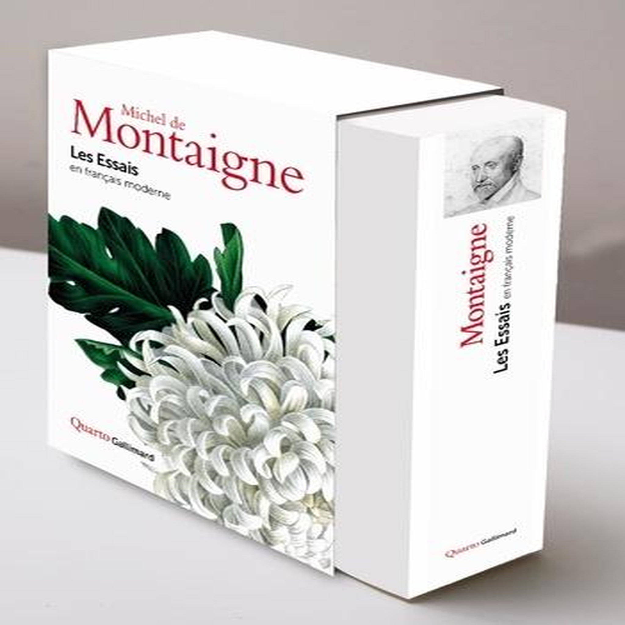 LES ESSAIS. EN FRANCAIS MODERNE, Montaigne Michel de