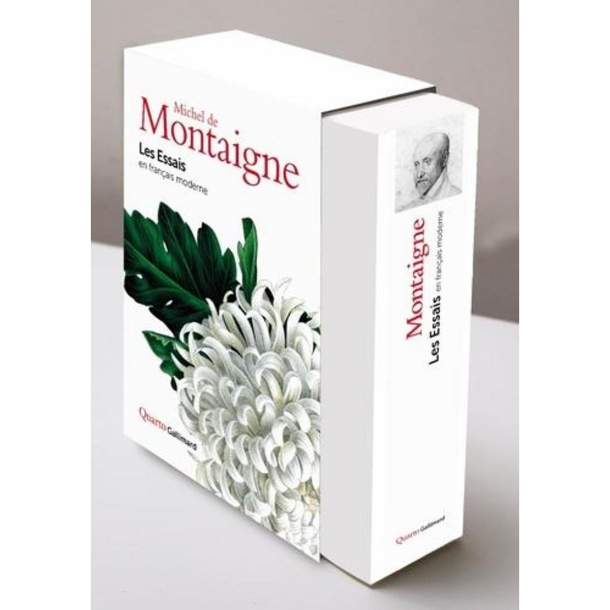 LES ESSAIS. EN FRANCAIS MODERNE, Montaigne Michel de