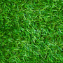 Voir la diapositive 3 : ID MARKET Gazon synthétique artificiel 1x10 M 30 mm d'épaisseur pour jardin et balcon