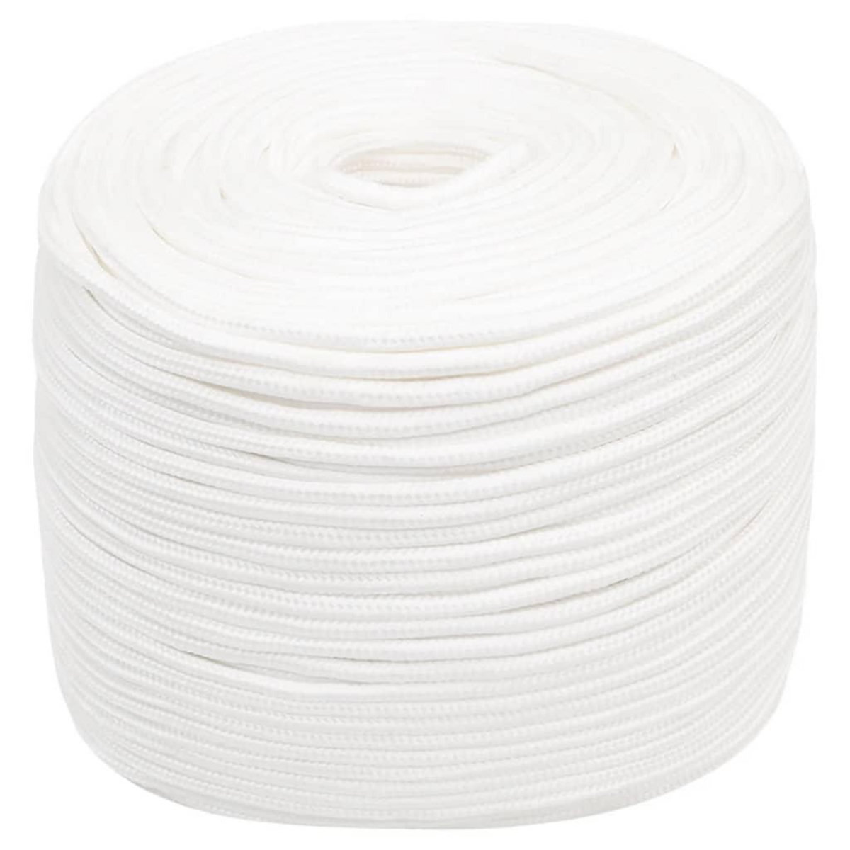 VIDAXL Corde de bateau Blanc complet 10 mm 250 m Polypropylene