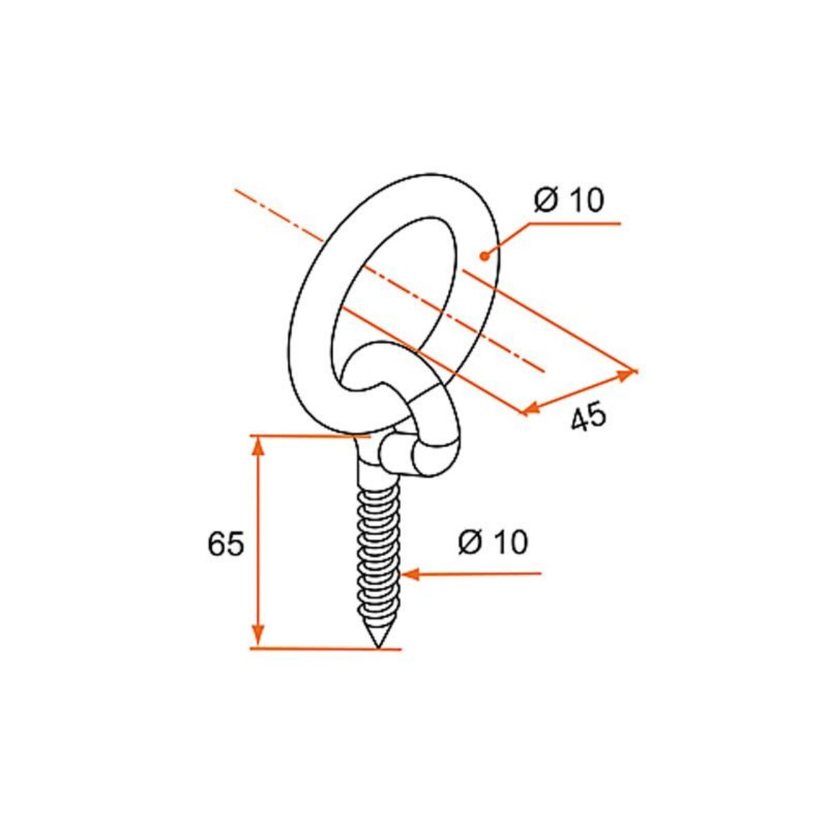 BURGAUD Anneau d écurie à visser 10x60mm BURGAUD 122024Q