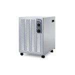 WOOD'S Déshumidificateur Wood s woodsdéshu SW42FM 600 W Gris