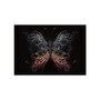 Voir la diapositive 2 : Paris Prix Papier Peint  Nature Artist