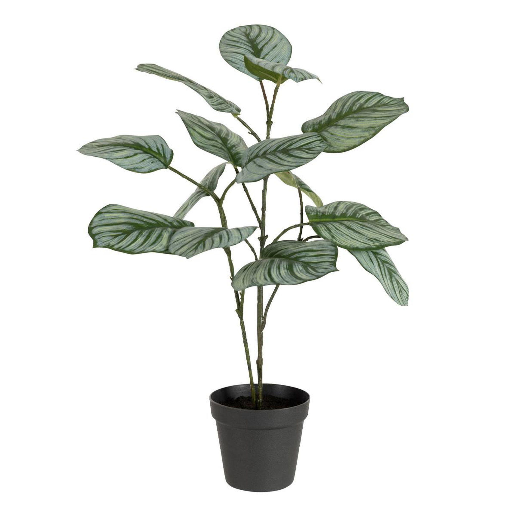 Voir la diapositive 1 : J-LINE Plante Artificielle en Pot  Calathee  56cm Vert