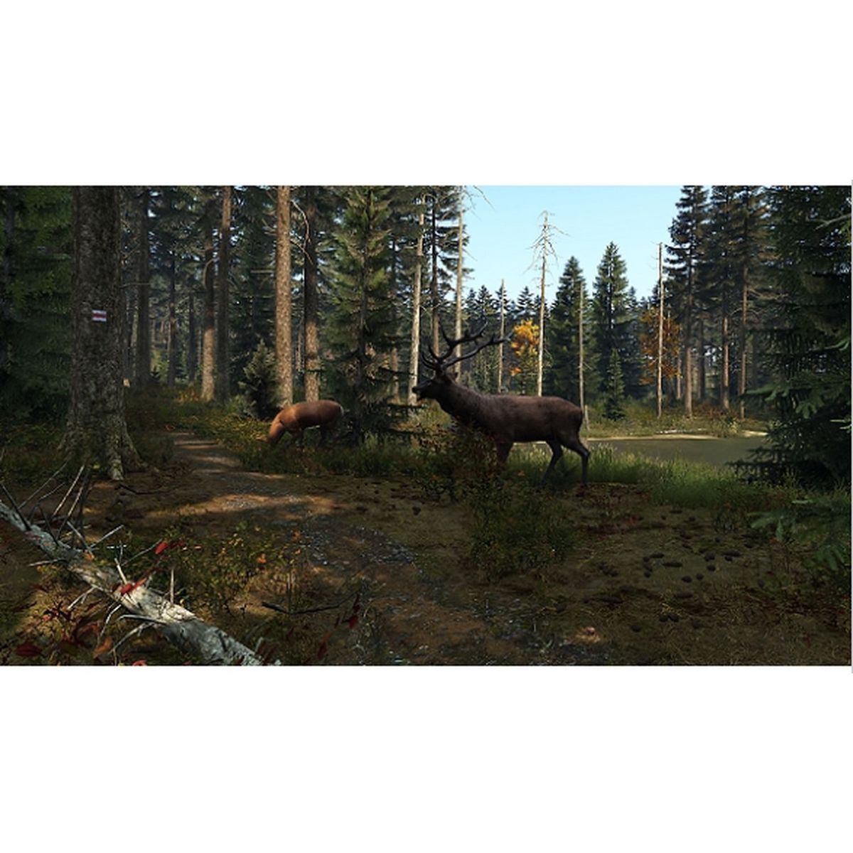 JUST FOR GAMES DayZ PS4