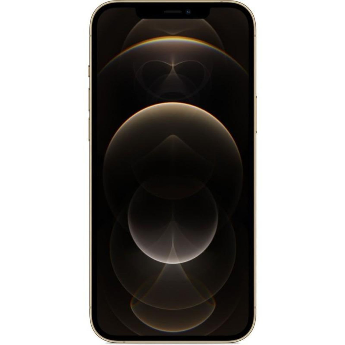 APPLE iPhone 12 Pro Max reconditionné 256 Go - Grade A - Or
