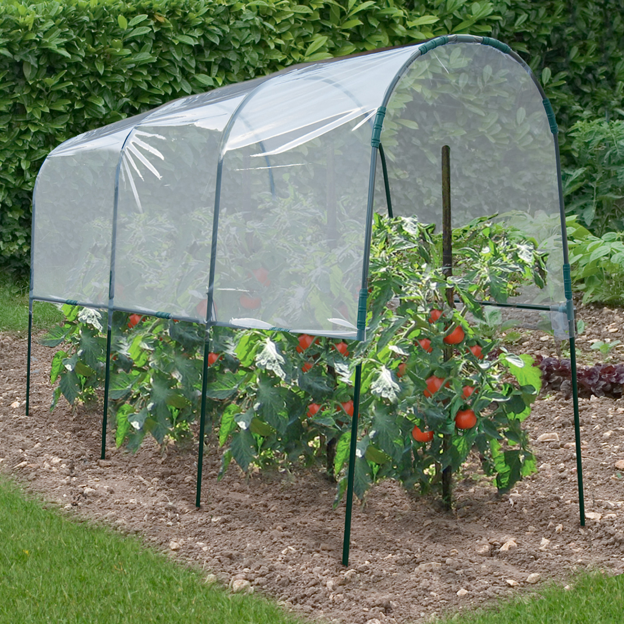 Voir la diapositive 2 : ID MARKET Serre à tomates de jardin 400 x 120 x 170 cm avec bâche transparente + arceaux en acier