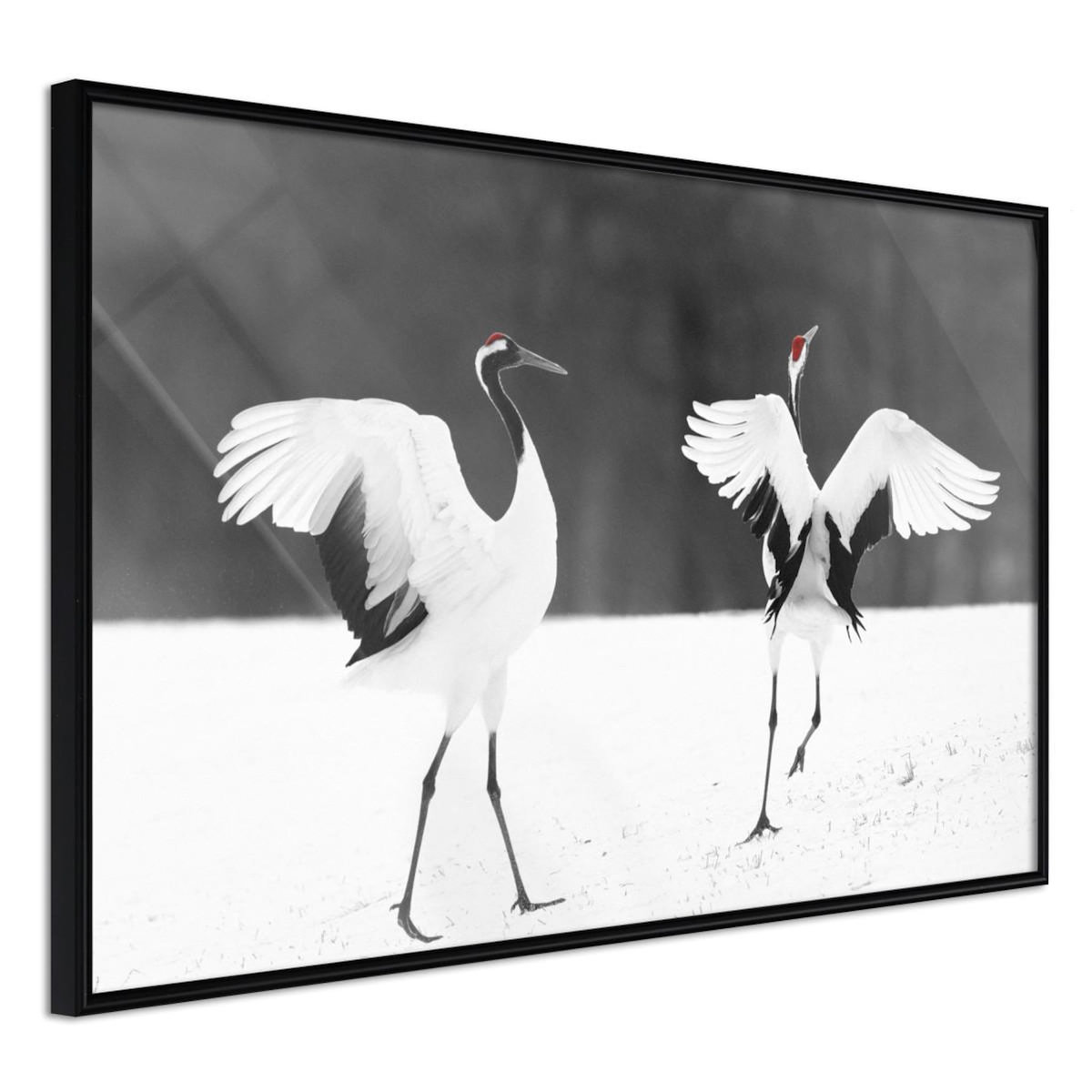 Paris Prix Affiche Murale Encadrée  Bird Date