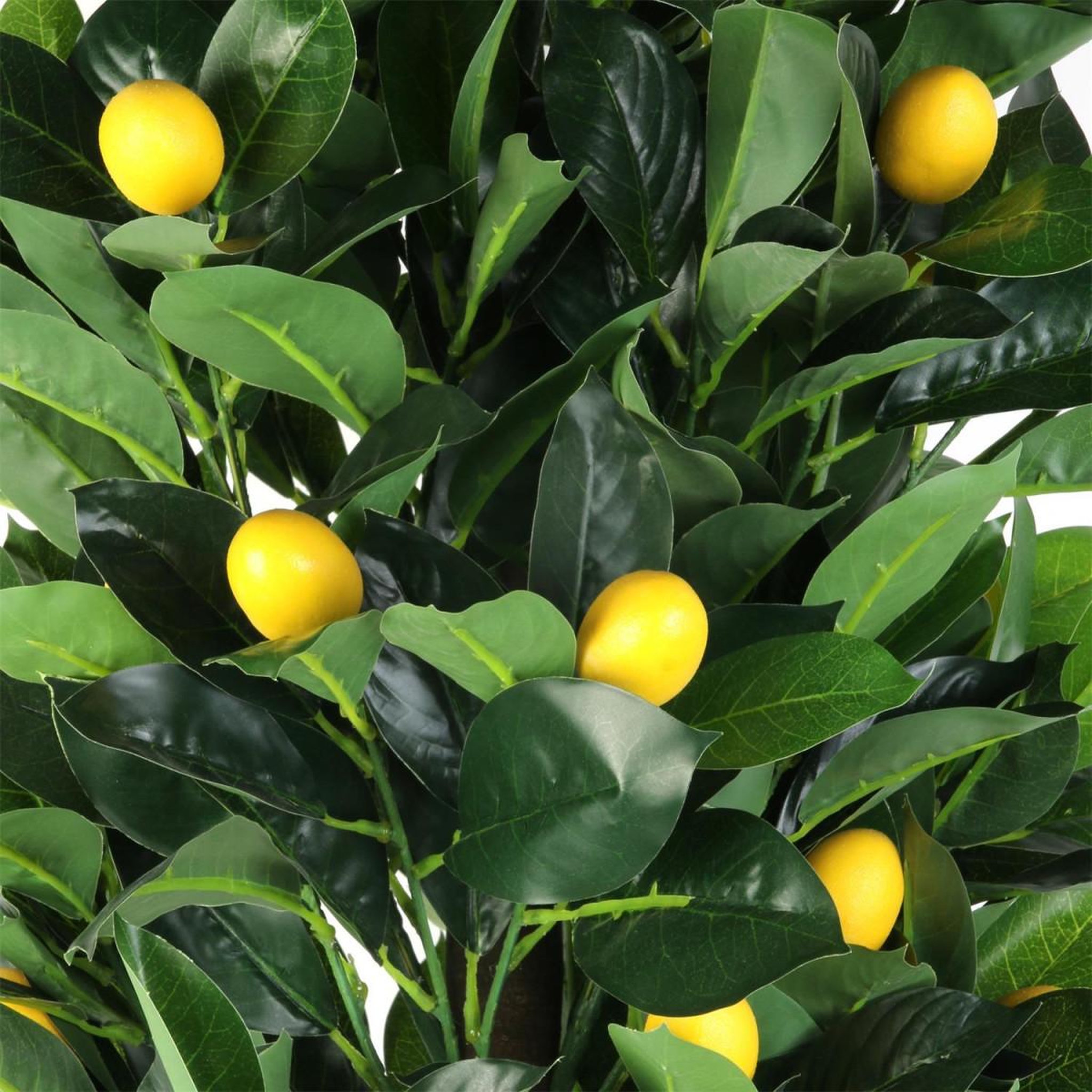 Voir la diapositive 2 : The Home Deco Factory Plante artificielle en pot  citronnier  120cm vert