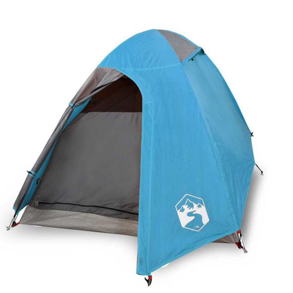 VIDAXL Tente de camping à dôme 2 personne bleu imperméable