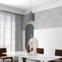 Voir la diapositive 2 : HOMCOM Lustre suspension design scandinave hauteur ajustable Ø 28,5 cm douille E27 gris aspect bois