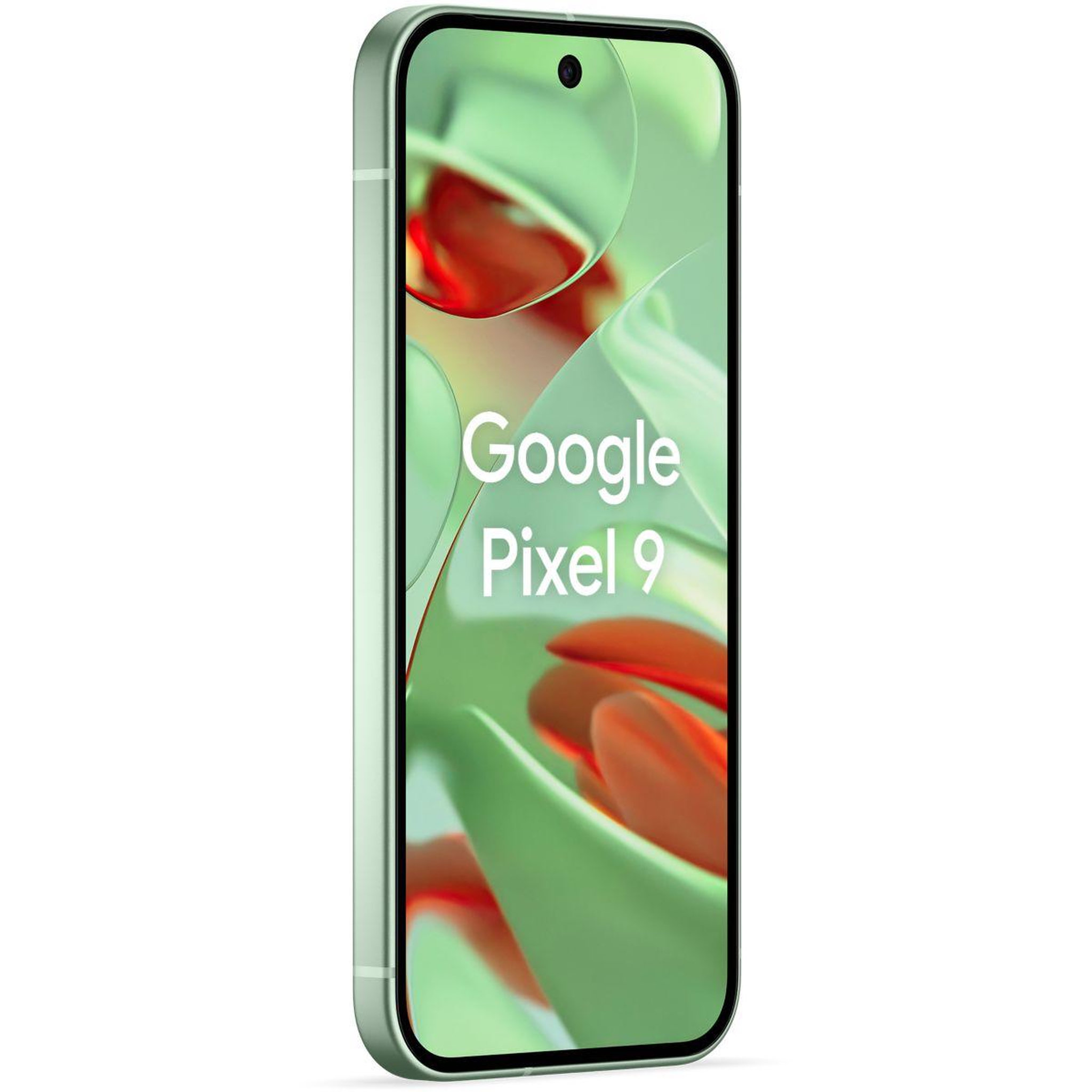 Voir la diapositive 4 : GOOGLE Smartphone Pixel 9 Vert Amande 128Go