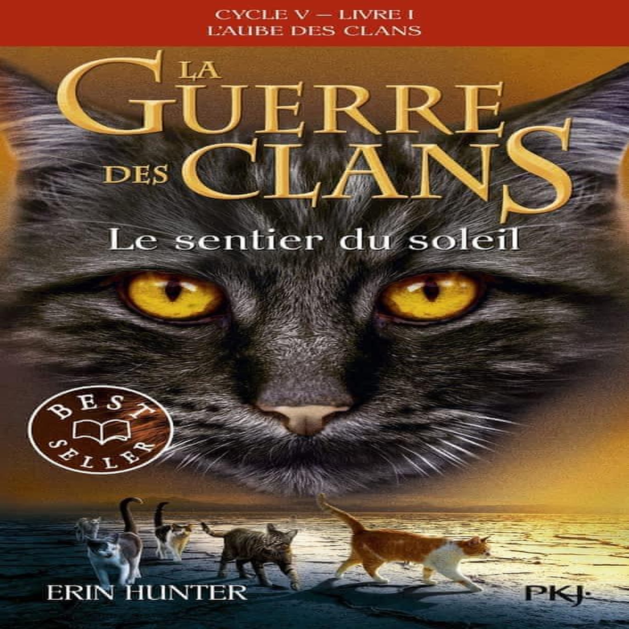 LA GUERRE DES CLANS : L'AUBE DES CLANS (CYCLE V) TOME 1 : LE SENTIER DU SOLEIL, Hunter Erin