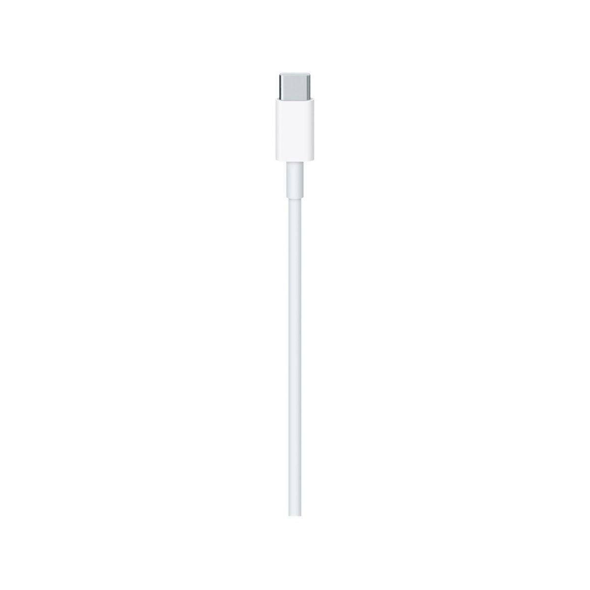 APPLE Câble USB C USB-C / USB C 2M
