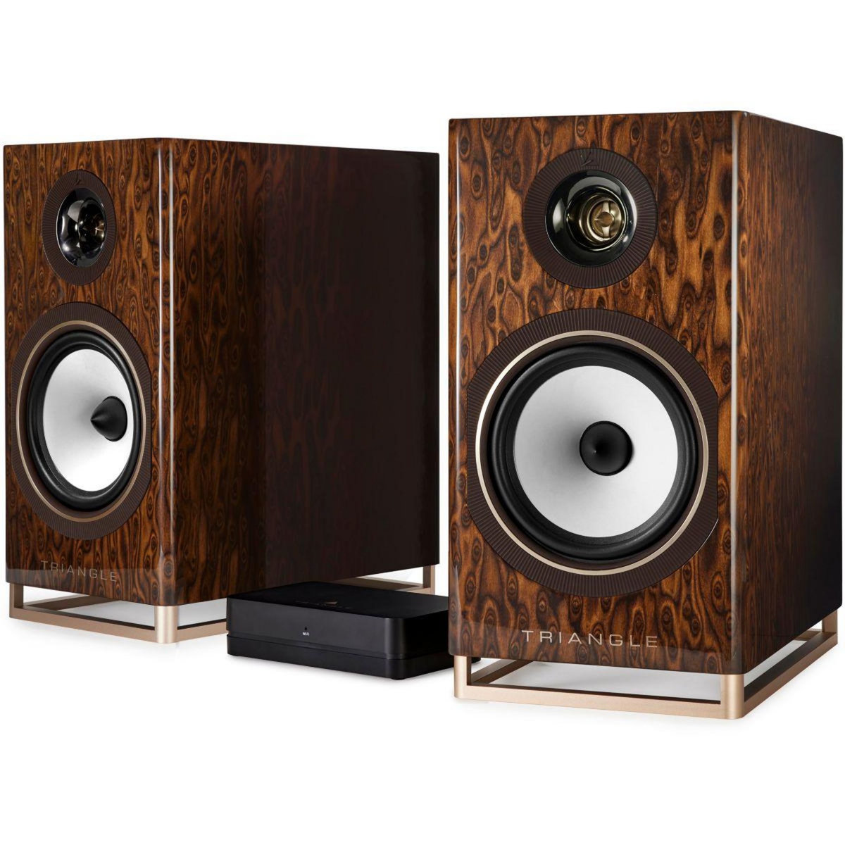 Triangle Enceinte bibliothèque active Capella Nébuleuse Brune