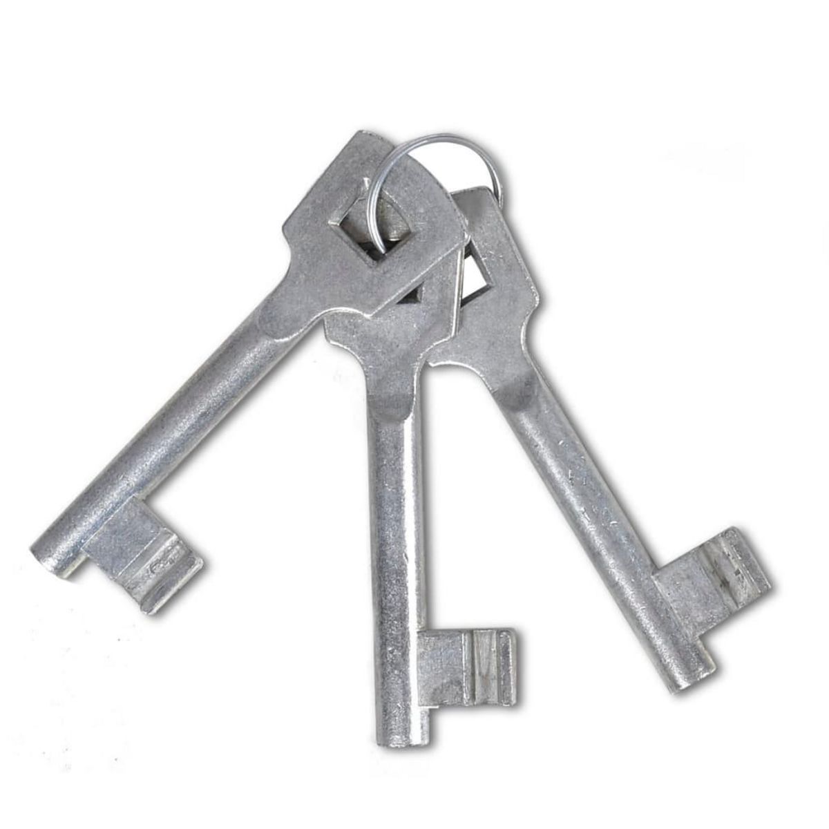 VIDAXL Portail de cloture a une porte 100x100 cm en acier thermolaque