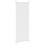 Voir la diapositive 4 : VIDAXL Store plisse 50x150 cm Blanc