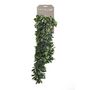 Voir la diapositive 1 : EMERALD Emerald Crassula artificiel 80 cm