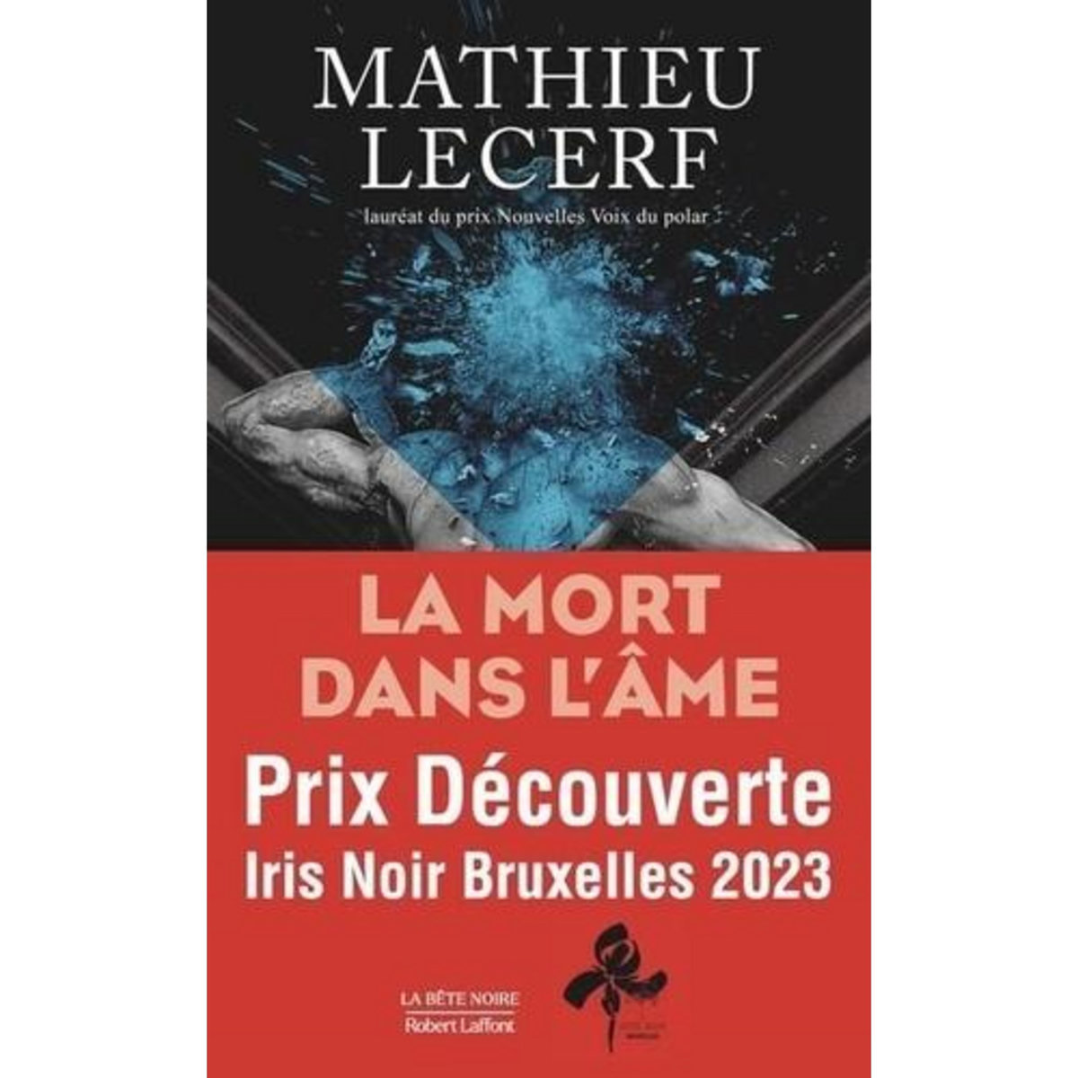 LA MORT DANS L'AME, Lecerf Mathieu