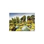 Voir la diapositive 2 : RAVENSBURGER Ravensburger - Jigsaw puzzle Huntington Desert Garden, 1000 pcs. 12000850 7