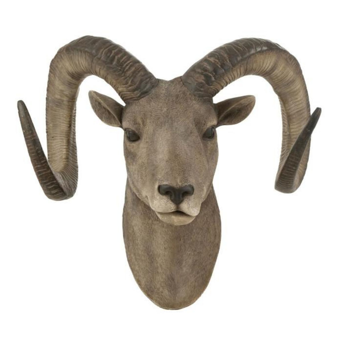 Paris Prix Trophée Mural  Tête de Chèvre  48cm Gris & Marron