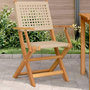 Voir la diapositive 1 : VIDAXL Chaises de jardin lot de 2 beige bois massif d'acacia et rotin