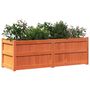 Voir la diapositive 4 : VIDAXL Jardiniere cire marron 150x50x50 cm bois de pin massif