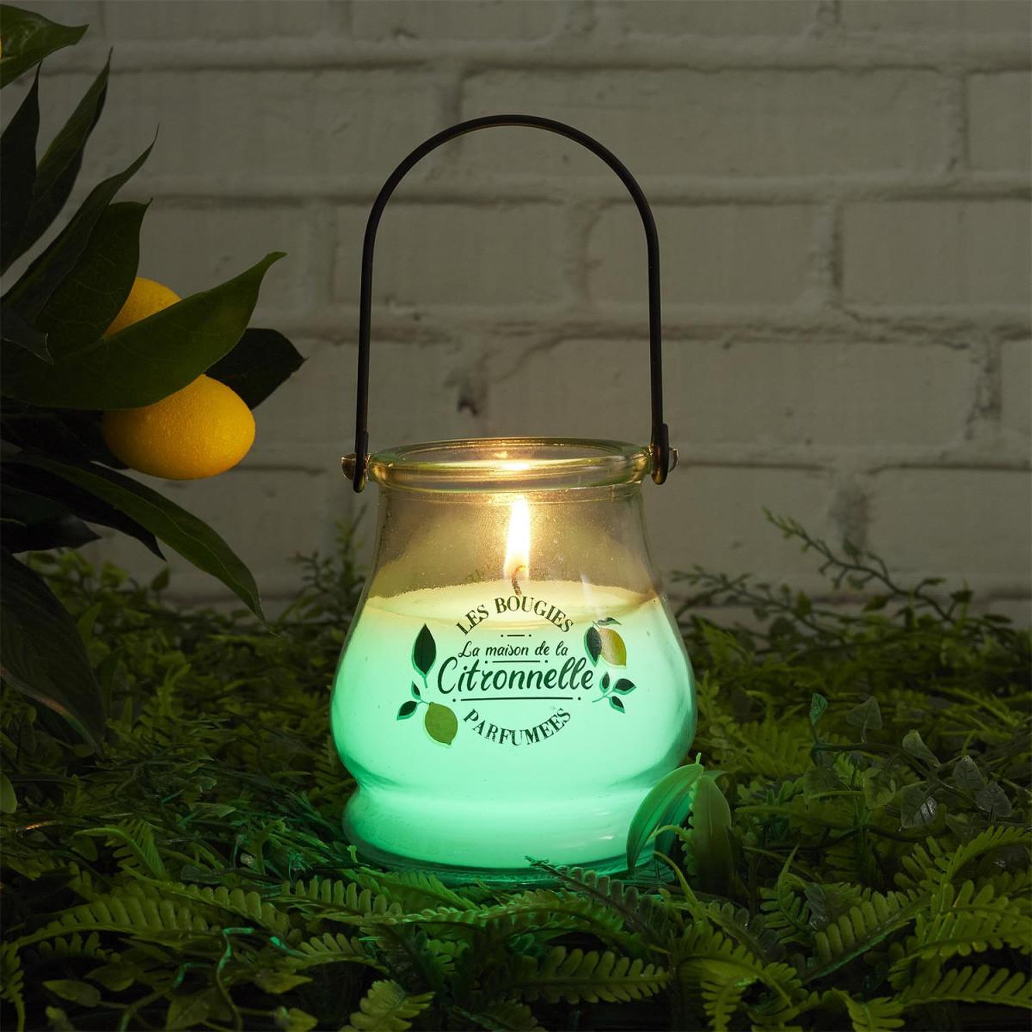 Voir la diapositive 6 : The Home Deco Factory Bougie Parfumée Antimoustique  Couleur  200g Citronnelle