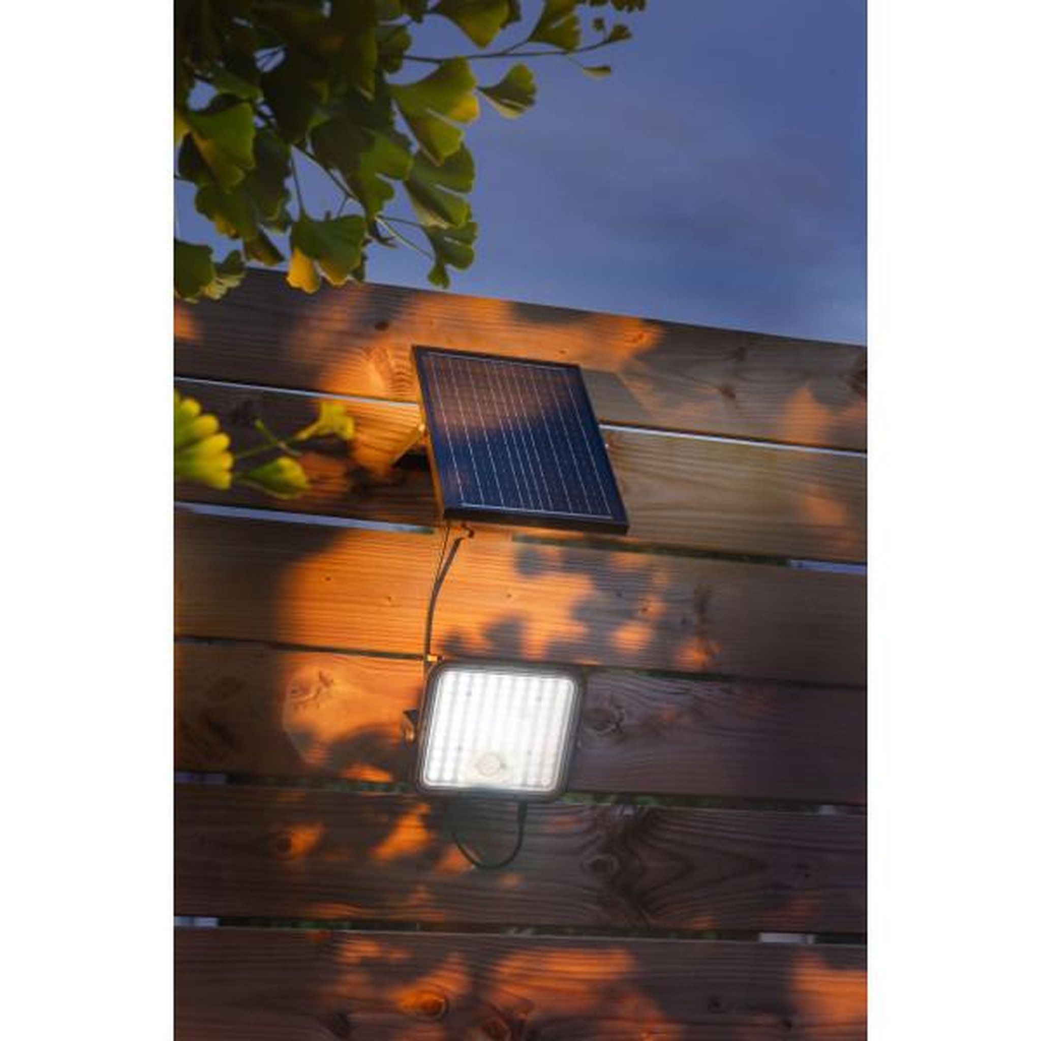 Voir la diapositive 2 : Galix Projecteur LED solaire - GALIX - G2612 - 2000 Lumens - Détecteur de présence et panneau déporté