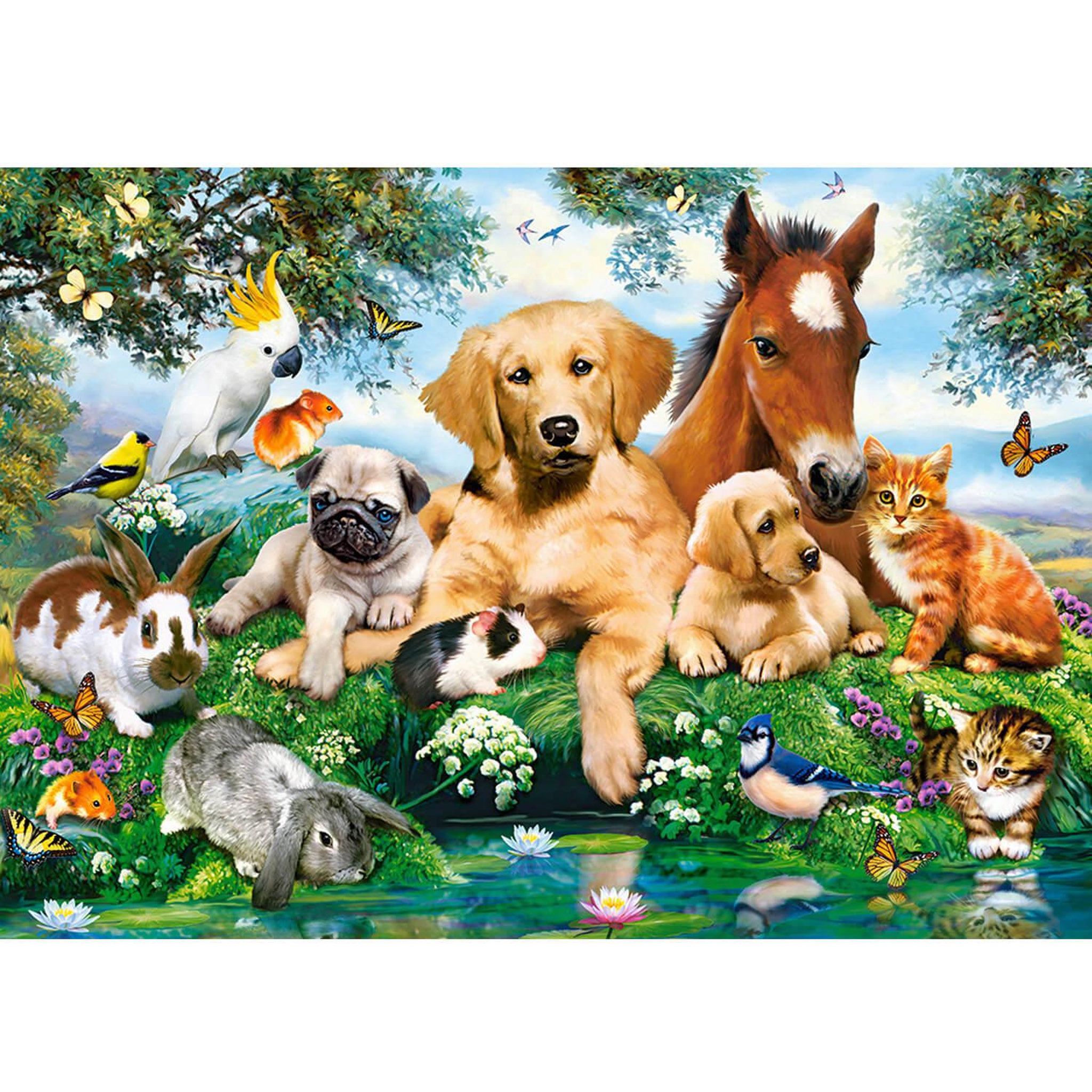 Voir la diapositive 1 : Castorland Puzzle 500 pièces : Copains d'été